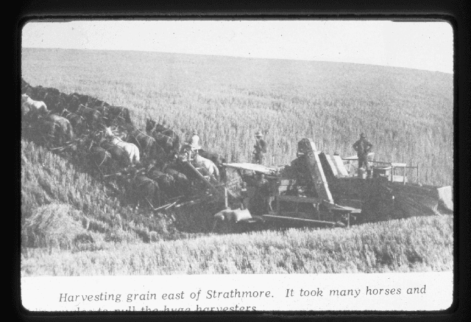 Unemployed For Life?